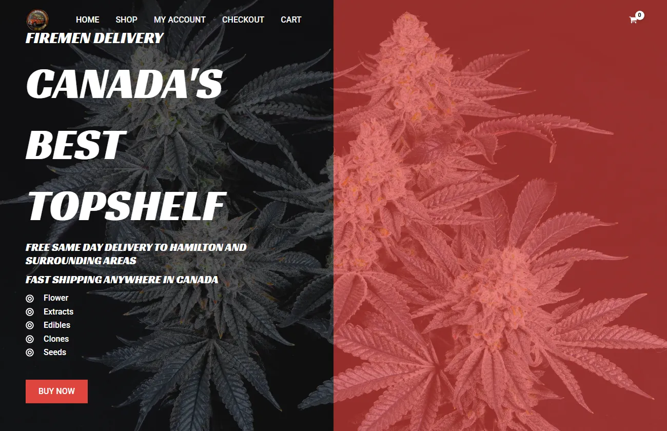 Screenshot of the Firemen Delivery website